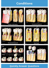 Load image into Gallery viewer, Dental-Patient Consultation Illustrations