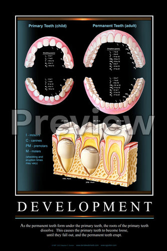 Development Wall Chart