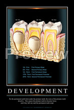 Load image into Gallery viewer, Development #2 Wall Chart