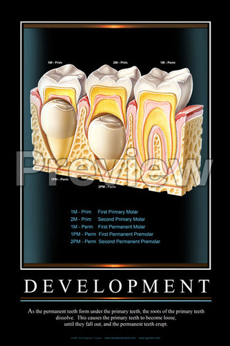 Development #2 Wall Chart