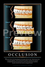 Load image into Gallery viewer, Occlusion Wall Chart