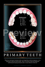 Load image into Gallery viewer, Primary Teeth Wall Chart