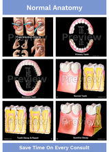 Load image into Gallery viewer, Hygienist-Patient Consultation Illustrations