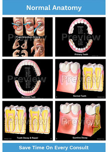 Dental-Patient Consultation Illustrations