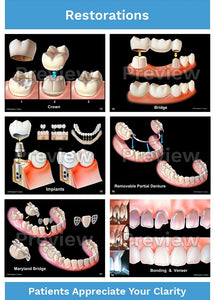 Dental-Patient Consultation Illustrations