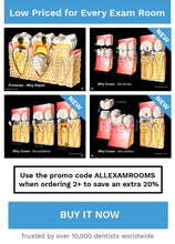 Load image into Gallery viewer, Dental-Patient Consultation Illustrations